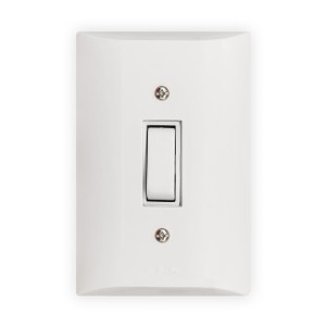 CJ 1  INTERRUPTOR - FLP